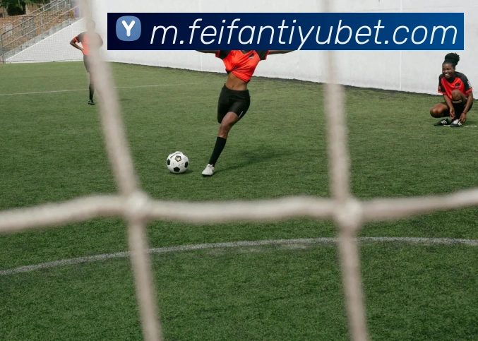 甜瓜与塔图姆训练师互相较劲谁才是真正支持塔图姆的幕后推手